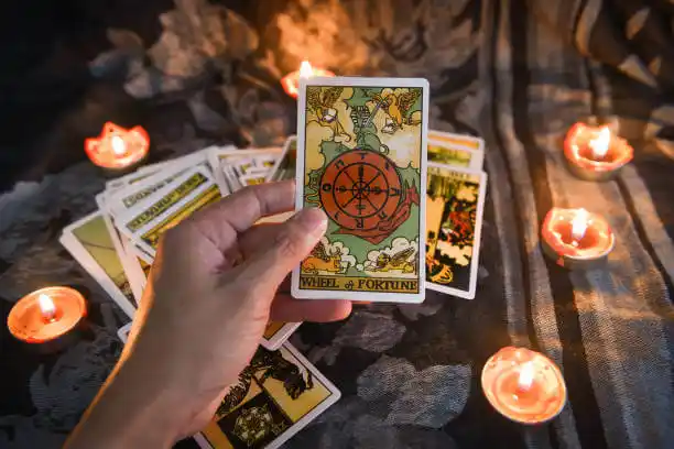 tarot cards Flower Hill